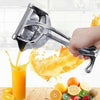 Fruit Juicer, Freshly Squeezed Delights & Manual