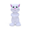 Talking Tom Cat, Interactive - Touch, Record, Sing!