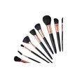 Makeup Brush Set, Emelie Makeup & High-Quality Brushes in a Convenient Pack