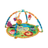 Baby Play Gym Mat, Safe, Stimulating, & Comfortable Play Space, for Newborn Baby