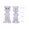 Talking Tom Cat, Interactive - Touch, Record, Sing!