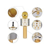 Microphone Speaker, High-Quality Karaoke with Bluetooth Wireless
