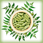 Neem Powder Capsules, Natural Wellness Enhancers (نیم کی گولیاں), for Immune Support