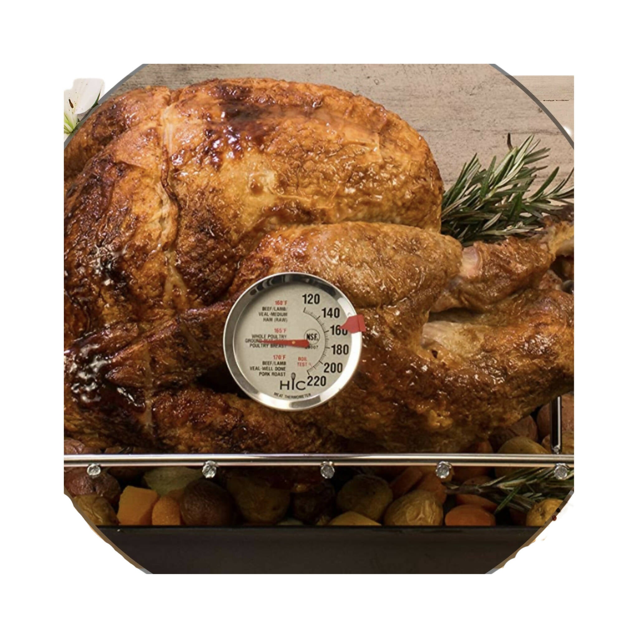 Roasting Thermometer, Large & Easy-Read, for Meat and Poultry
