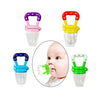 Fruit Pacifier, Healthy Bites, Silicone, for Happy Babies