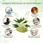 Neem Powder Capsules, Natural Wellness Enhancers (نیم کی گولیاں), for Immune Support